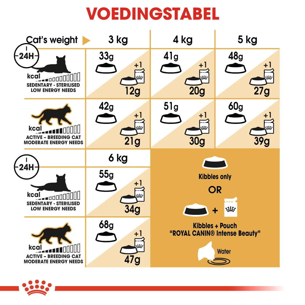 Royal Canin Siamese 38 Pour Chat 2kg 2 Royal Canin Siamese 38 Pour Chat 2kg – Image 2