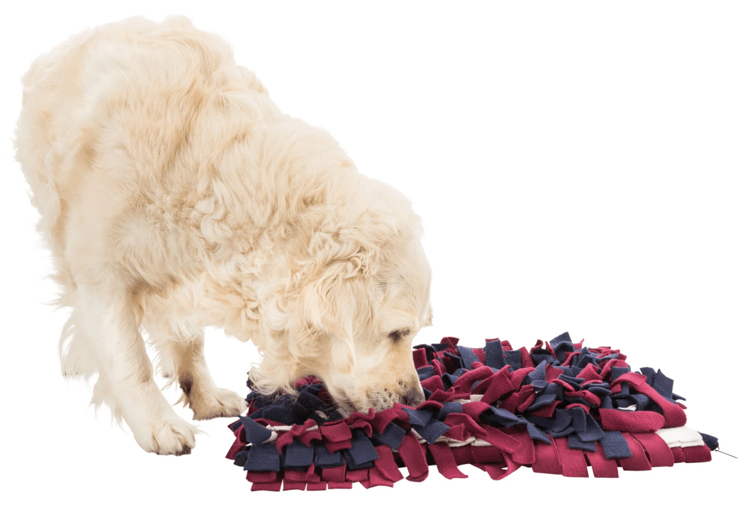 Trixie Jeu De Stratégie Pour Chien Sniffing Mat 50 X 34 Cm 4 Trixie Jeu De Stratégie Pour Chien Sniffing Mat 50 X 34 Cm – Image 4