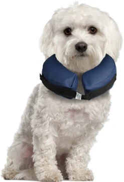 Flamingo Collier Gonflable Pour Chiens Gofi S -Pet Market Soldes c76564a084433e164fdda469521c2f8b95e5c504b608d8280deab069721e7d8e