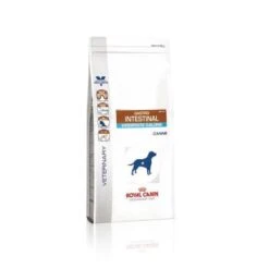 Royal Canin Gastro Intestinal Moderate Calorie Chien 5 Royal Canin Gastro Intestinal Moderate Calorie Chien -Pet Market Soldes c96be46b08946a606f224303102df65abfaed4d03ddb9e5c7287ed64f3014855