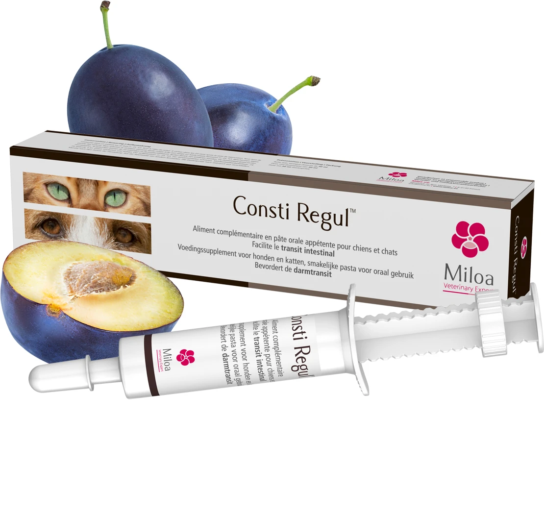 Consti Regul 30ml 2 Consti Regul 30ml – Image 2