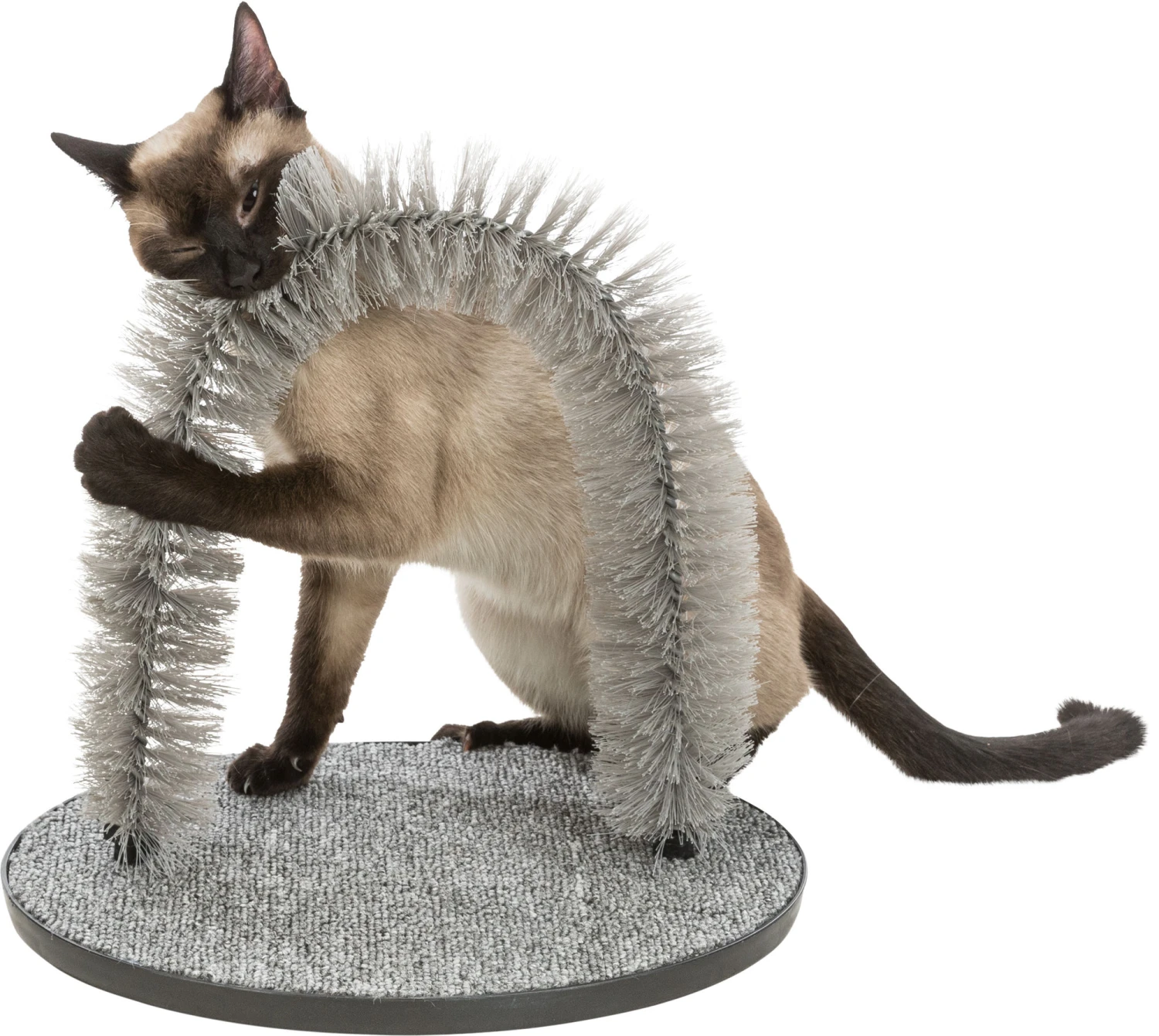 Trixie Arc De Massage Et De Toilettage Pour Chat 36 X 33 Cm 4 Trixie Arc De Massage Et De Toilettage Pour Chat 36 X 33 Cm – Image 4