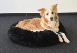 Flamingo Panier Krems Rond Noir 70cm -Pet Market Soldes dd063b37f56b55a2d2881154a00697cfb0927245ac2924ff515d6864bc0f3c70