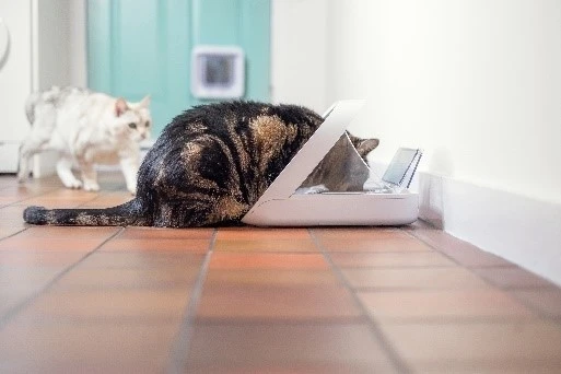 Sureflap Distributeur De Nourriture Connect Surefeed 4 Sureflap Distributeur De Nourriture Connect Surefeed – Image 4