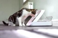 Sureflap Distributeur De Nourriture Connect Surefeed 13 Sureflap Distributeur De Nourriture Connect Surefeed -Pet Market Soldes distributeur de nourriture connect surefeed 9