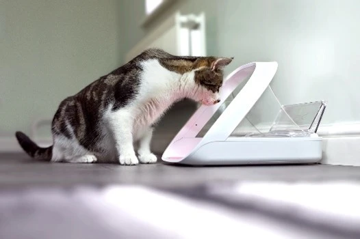 Sureflap Distributeur De Nourriture Connect Surefeed 7 Sureflap Distributeur De Nourriture Connect Surefeed – Image 7