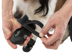 Trixie Chaussures De Protection Walker Active / L 2pcs. -Pet Market Soldes e08062450bd8a32b408258fb4c31ff7f7447657b0f4f3fa1ecca0f8550d45313 2