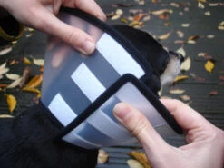 Flamingo Carcan Capo 31,5cm -Pet Market Soldes e2578f0de7dfac1a438fa05f0c616aa46fff5514395f242304922963edc56053