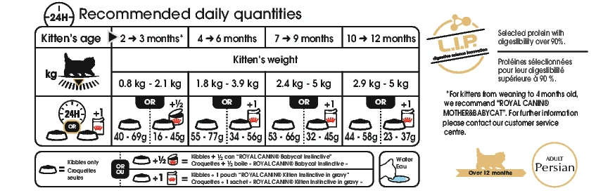 Royal Canin Chaton Persan 2kg 2 Royal Canin Chaton Persan 2kg – Image 2