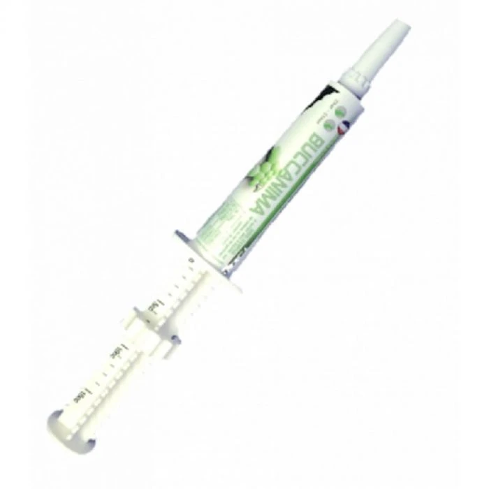 Buccanima Gel Oral Seringue 15ml 1 Buccanima Gel Oral Seringue 15ml