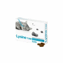 Lysine