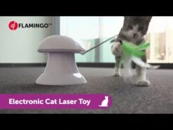 Flamingo Jouet Chat Laser Avec Plumes 2in1 9 Flamingo Jouet Chat Laser Avec Plumes 2in1 -Pet Market Soldes hqdefault 4