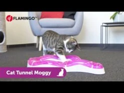 Flamingo Jouet Chat Moggy Tunnel 39x39x7,7cm 11 Flamingo Jouet Chat Moggy Tunnel 39x39x7,7cm -Pet Market Soldes hqdefault 4 1