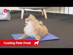 Flamingo Tapis Rafraîchissant Fresk - S (50x40cm) 7 Flamingo Tapis Rafraîchissant Fresk - S (50x40cm) -Pet Market Soldes hqdefault 5 1