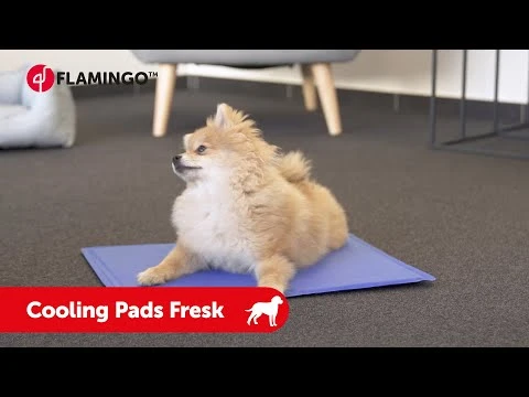 Flamingo Tapis Rafraîchissant Fresk - S (50x40cm) 4 Flamingo Tapis Rafraîchissant Fresk - S (50x40cm) – Image 4