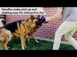 Jouet Kong Flexball -Pet Market Soldes hqdefault 7