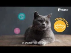 Zylkène 450mg Pour Chiens De Plus De 30Kg -Pet Market Soldes hqdefault 9 6