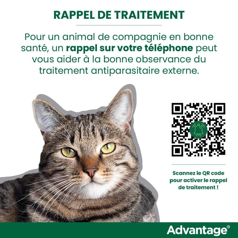Advantage 40 Chat Et Lapin De 1 à 4 Kg 7 Advantage 40 Chat Et Lapin De 1 à 4 Kg – Image 7