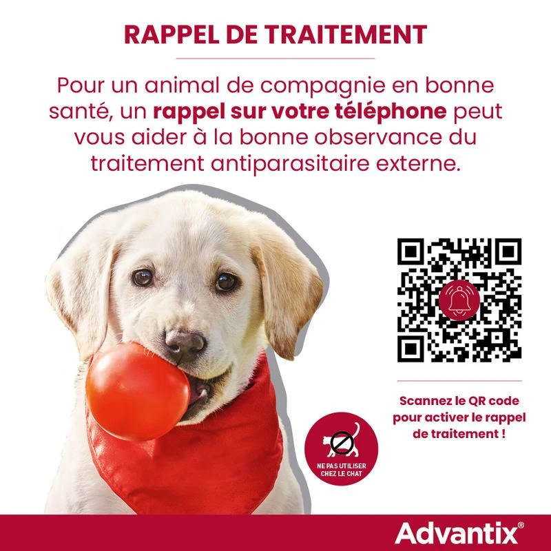 Advantix Petit Chien 4-10Kg 7 Advantix Petit Chien 4-10Kg – Image 7