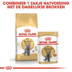 Royal Canin British Shorthair Pour Chat 4kg -Pet Market Soldes rc fbn britishsh cv eretailkit 4 nl nl 1