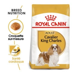 Royal Canin Cavalier King Charles Adult Pour Chien 7,5kg 7 Royal Canin Cavalier King Charles Adult Pour Chien 7,5kg -Pet Market Soldes royal canin cavalier king charles adult cavalier king charles 1