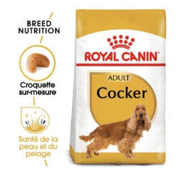 Royal Canin Cocker Adult Pour Chien 12kg -Pet Market Soldes royal canin cocker adult cocker 1 1