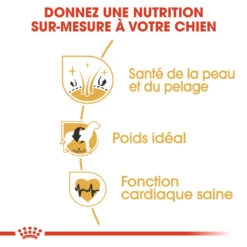 Royal Canin Cocker Adult Pour Chien 12kg -Pet Market Soldes royal canin cocker adult cocker 2 1