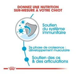 Royal Canin Giant Junior Pour Chien 15kg -Pet Market Soldes royal canin giant junior giant junior 2