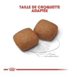 Royal Canin Giant Junior Pour Chien 15kg -Pet Market Soldes royal canin giant junior giant junior 3