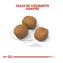 Royal Canin Giant Puppy Pour Chien - 15kg -Pet Market Soldes royal canin giant puppy giant puppy 3