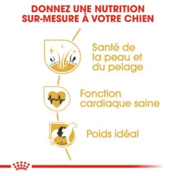 Royal Canin Golden Retriever Adult Pour Chien 12kg -Pet Market Soldes royal canin golden retriever adult croquettes pour chien golden retriever 2