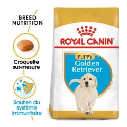 Royal Canin Golden Retriever Chiot Pour Chien 12kg -Pet Market Soldes royal canin golden retriever puppy golden retriever junior 1