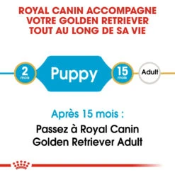 Royal Canin Golden Retriever Chiot Pour Chien 12kg -Pet Market Soldes royal canin golden retriever puppy golden retriever junior 3