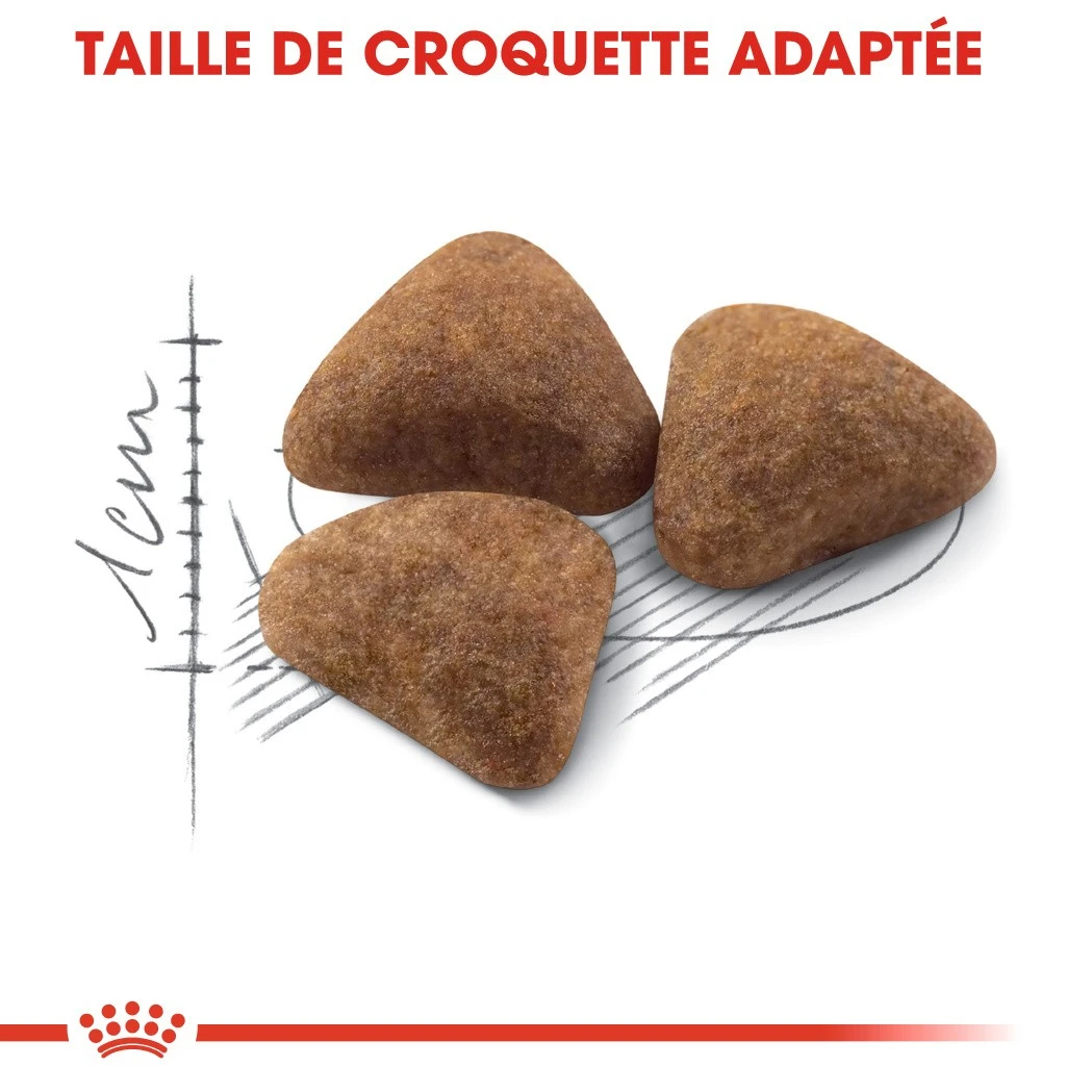 Royal Canin Indoor 27 Adult Pour Chat 10kg 3 Royal Canin Indoor 27 Adult Pour Chat 10kg – Image 3