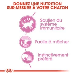 Royal Canin Kitten Sachet - Emincé En Sauce -Pet Market Soldes royal canin kitten sauce pour chaton royal canin 2