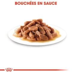 Royal Canin Kitten Sachet - Emincé En Sauce -Pet Market Soldes royal canin kitten sauce pour chaton royal canin 4