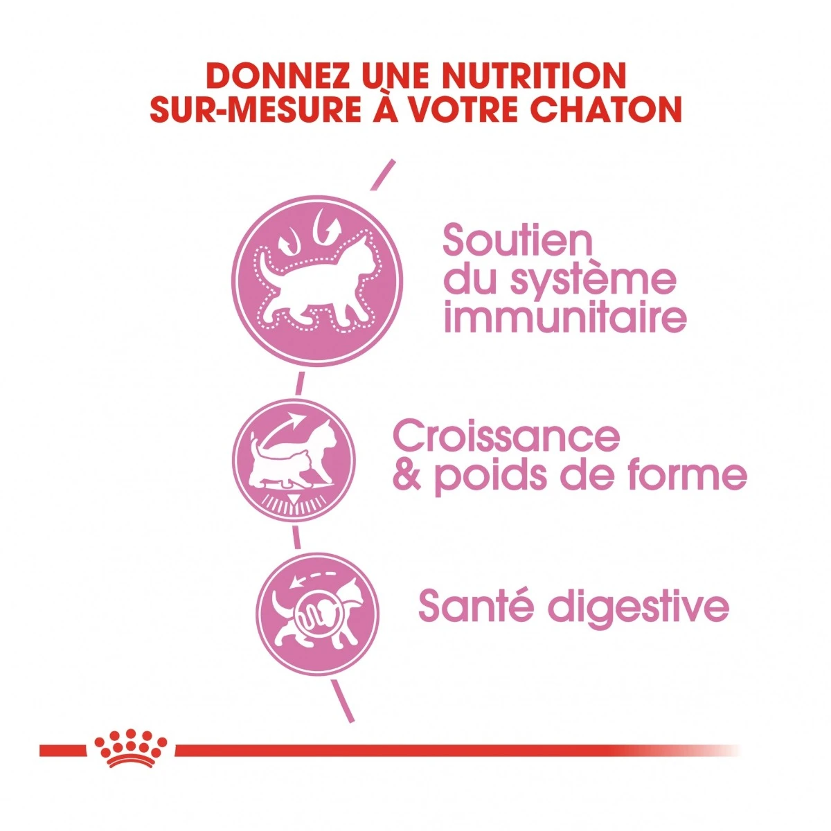 Royal Canin Kitten Sterilised 4 Royal Canin Kitten Sterilised – Image 4