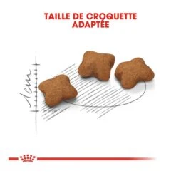 Royal Canin Kitten Sterilised 10 Royal Canin Kitten Sterilised -Pet Market Soldes royal canin kitten sterilised kitten sterilised 4 1