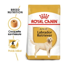 Royal Canin Labrador Retriever Adult Pour Chien 12kg 7 Royal Canin Labrador Retriever Adult Pour Chien 12kg -Pet Market Soldes royal canin labrador retriever adult croquettes pour chien labrador retriever adulte 1