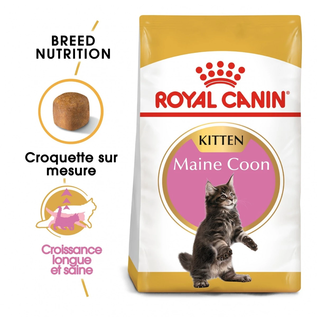 Royal Canin Maine Coon Chaton Pour Chat 10kg 3 Royal Canin Maine Coon Chaton Pour Chat 10kg – Image 3