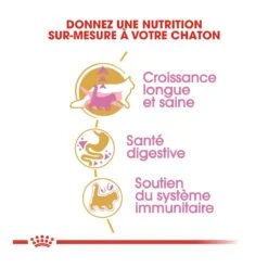 Royal Canin Maine Coon Chaton Pour Chat 10kg 10 Royal Canin Maine Coon Chaton Pour Chat 10kg -Pet Market Soldes royal canin maine coon kitten maine coon kitten 2