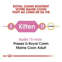 Royal Canin Maine Coon Chaton Pour Chat 10kg 12 Royal Canin Maine Coon Chaton Pour Chat 10kg -Pet Market Soldes royal canin maine coon kitten maine coon kitten 4