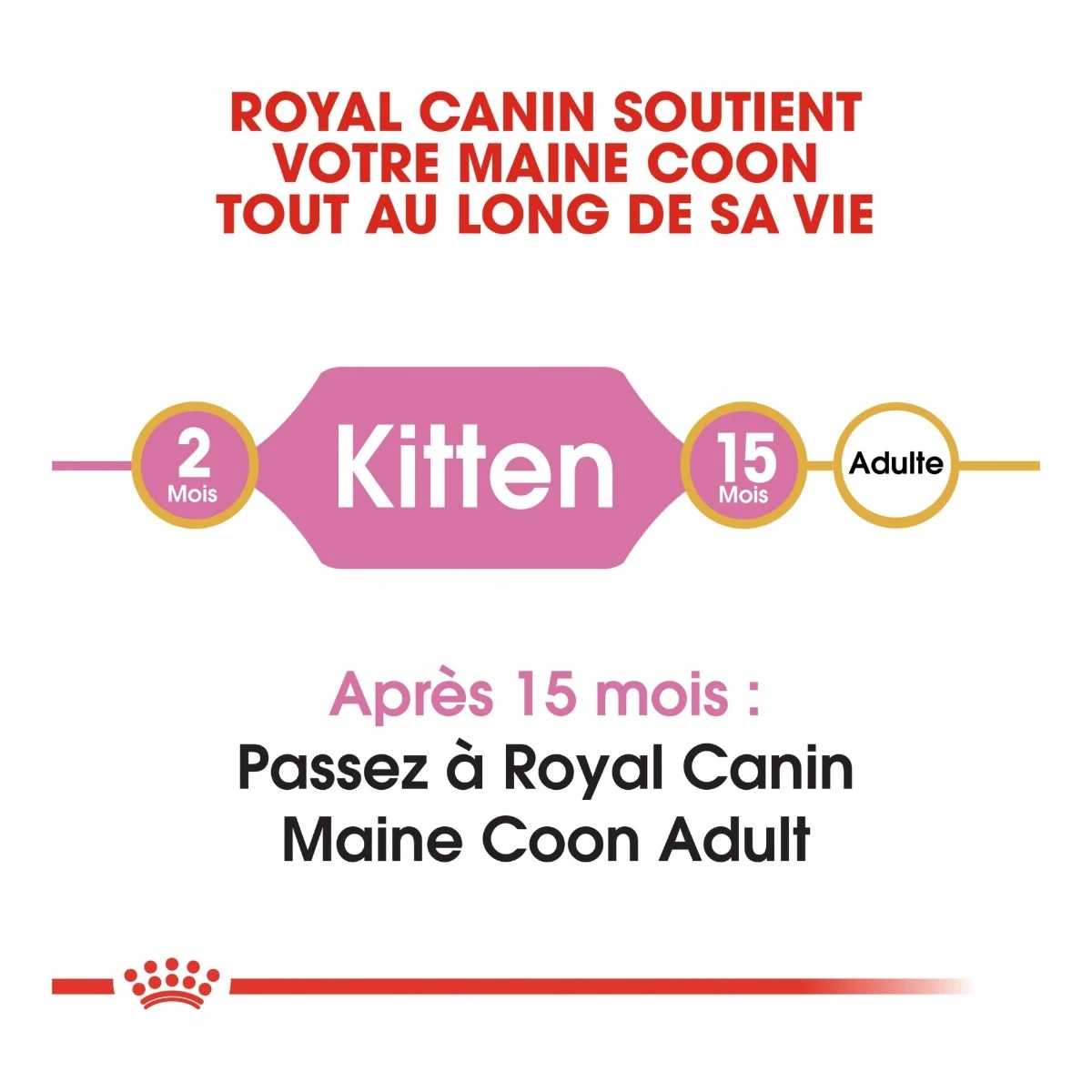 Royal Canin Maine Coon Chaton Pour Chat 10kg 6 Royal Canin Maine Coon Chaton Pour Chat 10kg – Image 6