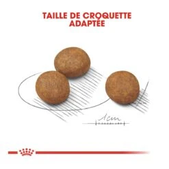 Royal Canin Maxi Chiot Pour Chien 10kg -Pet Market Soldes royal canin maxi puppy croquettes pour chiot maxi puppy 3