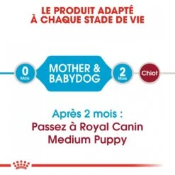 Royal Canin Medium Starter Mother & Babydog - 15Kg 12 Royal Canin Medium Starter Mother & Babydog - 15Kg -Pet Market Soldes royal canin medium starter medium starter 4