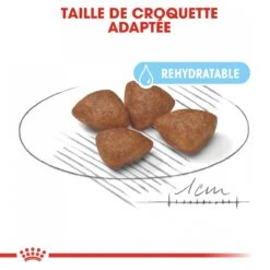 Royal Canin Mini Starter Mother & Babydog - 8Kg 9 Royal Canin Mini Starter Mother & Babydog - 8Kg -Pet Market Soldes royal canin mini starter mini starter 2