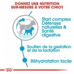 Royal Canin Mini Starter Mother & Babydog - 8Kg 10 Royal Canin Mini Starter Mother & Babydog - 8Kg -Pet Market Soldes royal canin mini starter mini starter 3