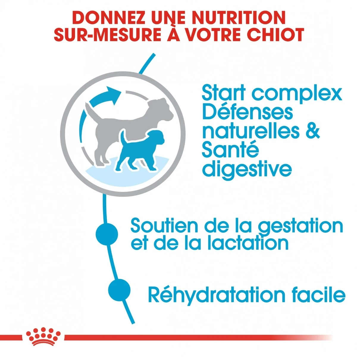 Royal Canin Mini Starter Mother & Babydog - 8Kg 5 Royal Canin Mini Starter Mother & Babydog - 8Kg – Image 5