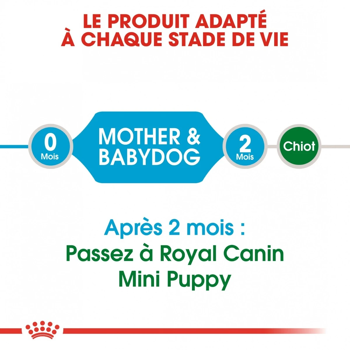 Royal Canin Mini Starter Mother & Babydog - 8Kg 6 Royal Canin Mini Starter Mother & Babydog - 8Kg – Image 6