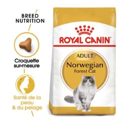 Royal Canin Chat Norvégien Adult 10kg 7 Royal Canin Chat Norvégien Adult 10kg -Pet Market Soldes royal canin norvegien adult norvegien 1